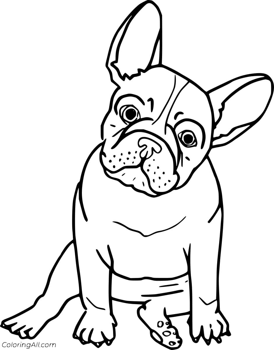 112 French Bulldog Coloring Pages Printable 26