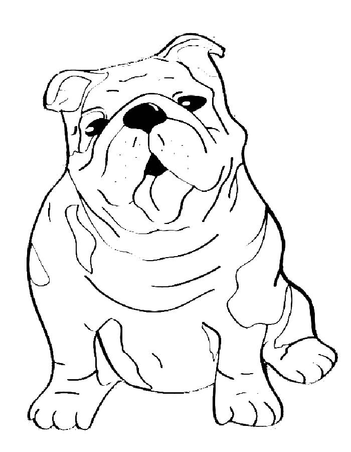 112 French Bulldog Coloring Pages Printable 28