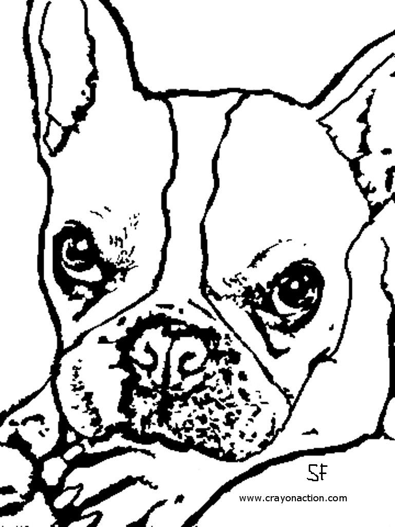 112 French Bulldog Coloring Pages Printable 33