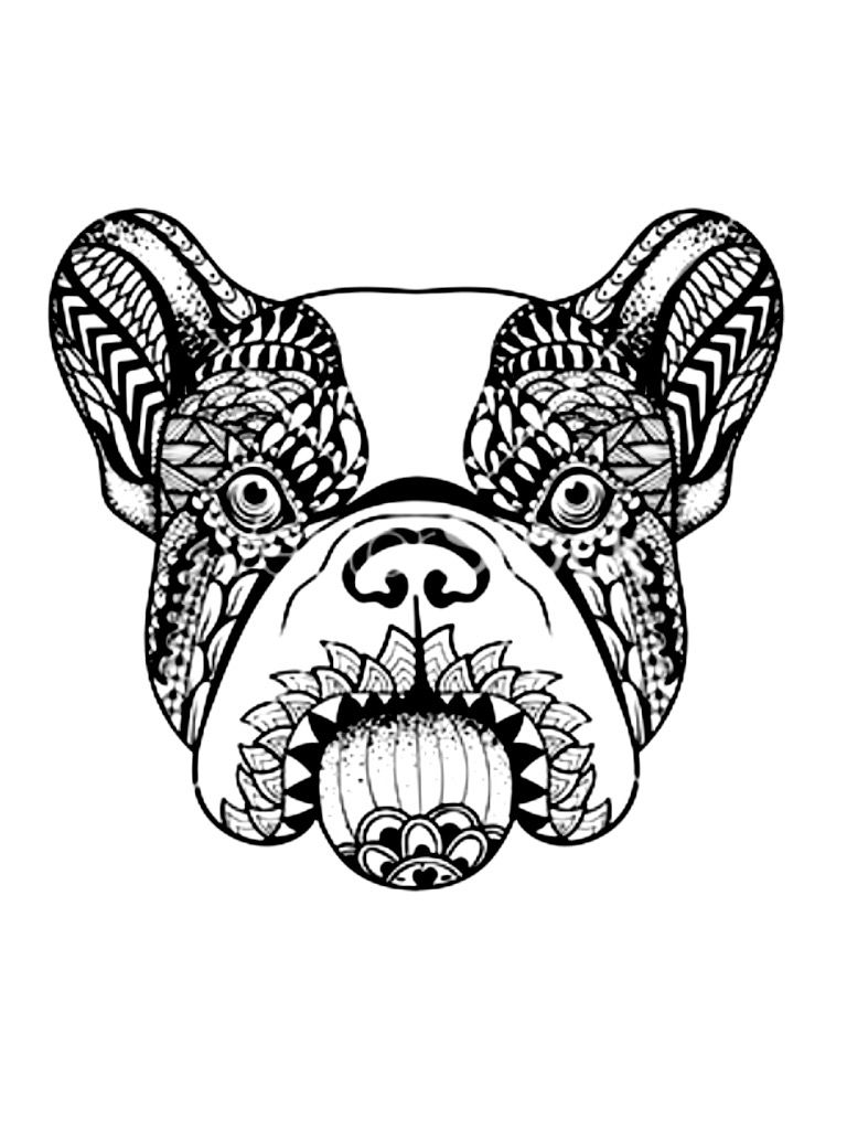 112 French Bulldog Coloring Pages Printable 34