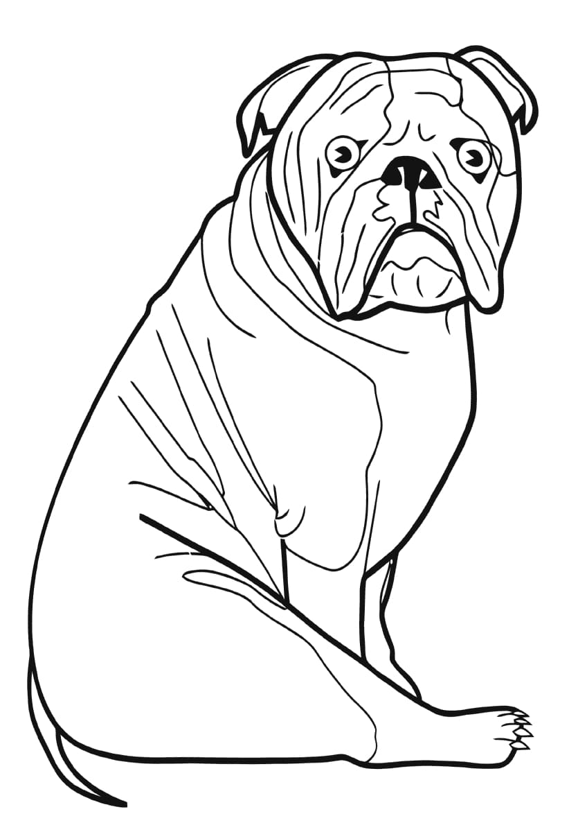 112 French Bulldog Coloring Pages Printable 40