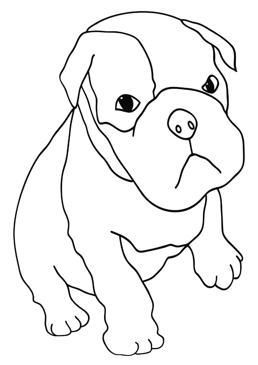 112 French Bulldog Coloring Pages Printable 53