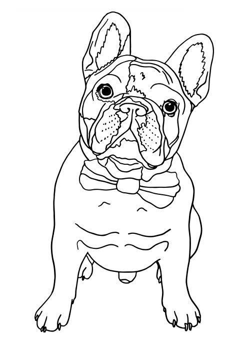 112 French Bulldog Coloring Pages Printable 58