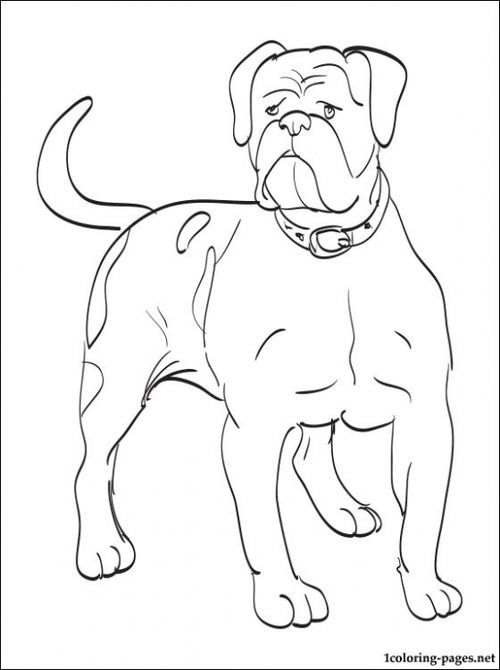 112 French Bulldog Coloring Pages Printable 59