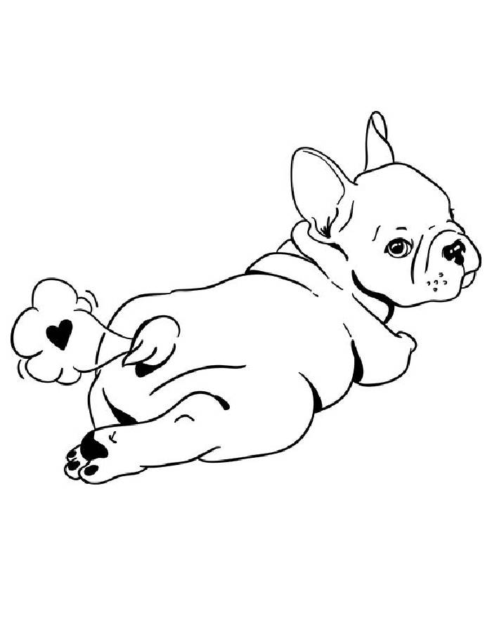 112 French Bulldog Coloring Pages Printable 60