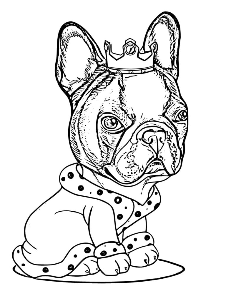 112 French Bulldog Coloring Pages Printable 63