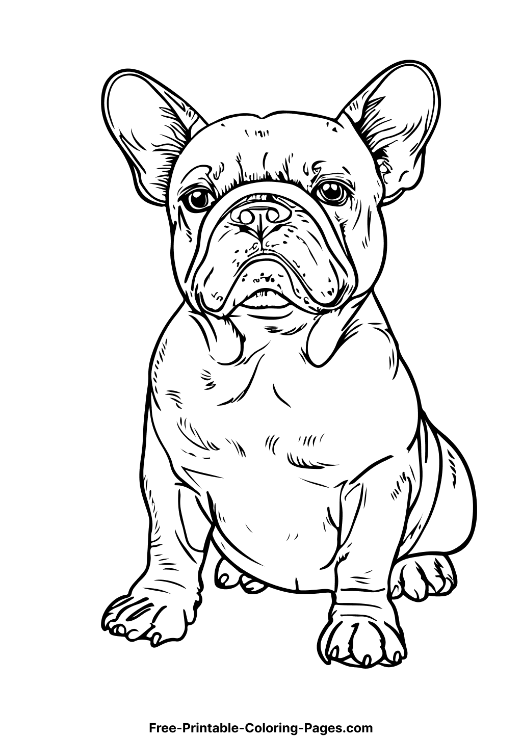 112 French Bulldog Coloring Pages Printable 66