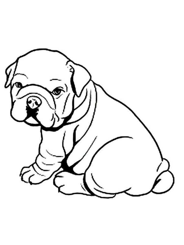 112 French Bulldog Coloring Pages Printable 76