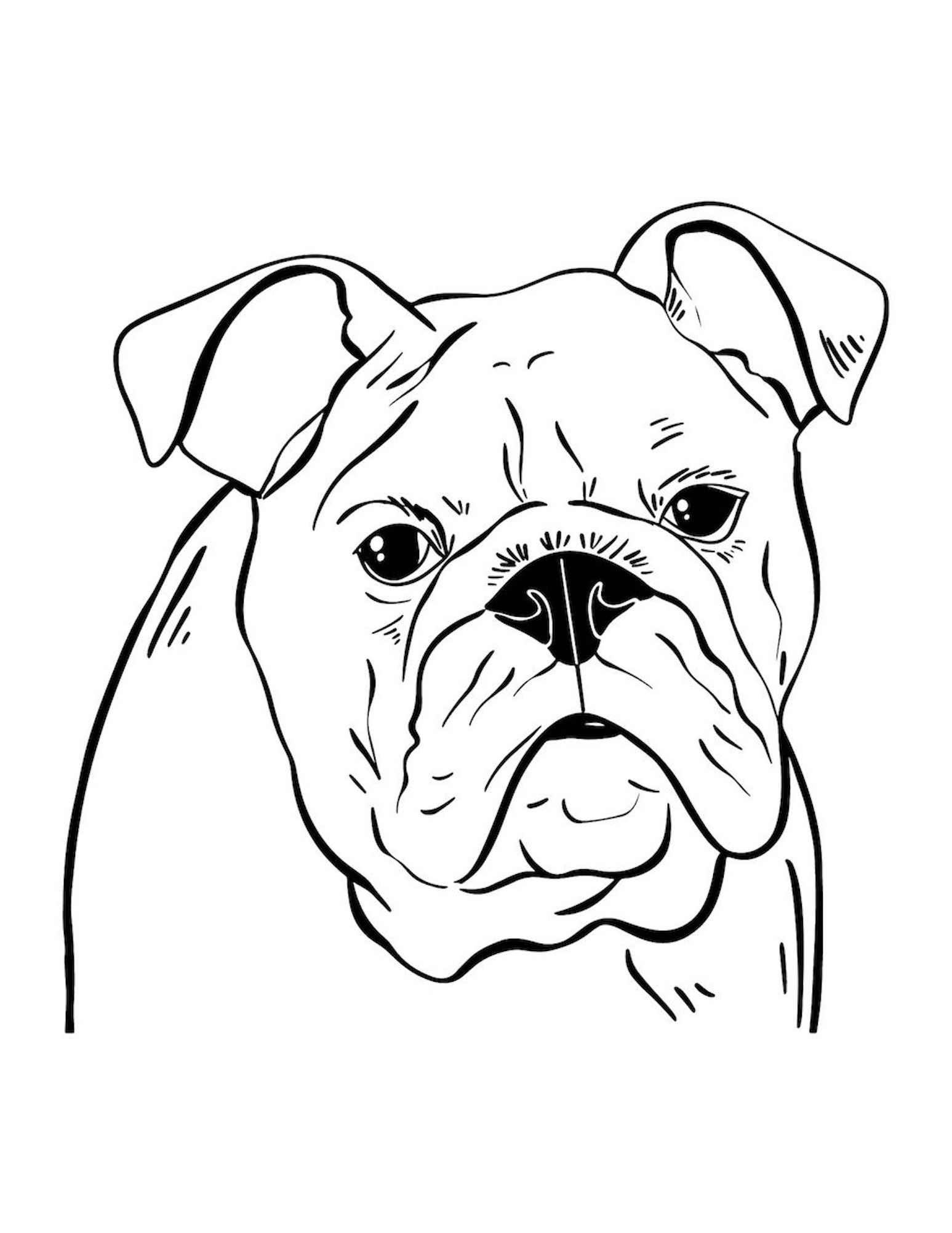 french bulldog coloring pages printable jpg