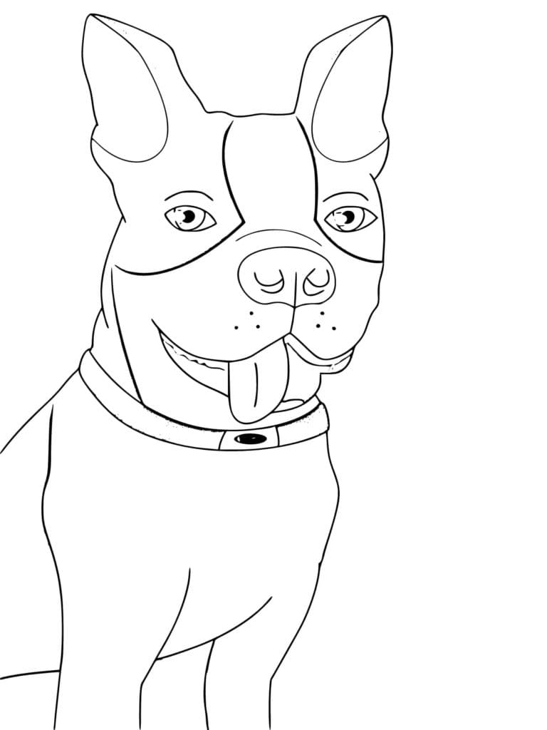 french bulldog coloring pages printable jpg