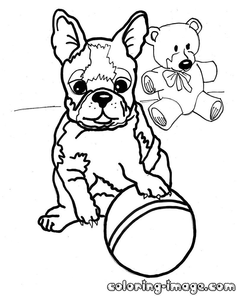 112 French Bulldog Coloring Pages Printable 89