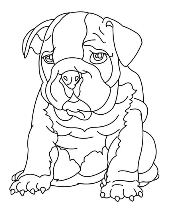 112 French Bulldog Coloring Pages Printable 9