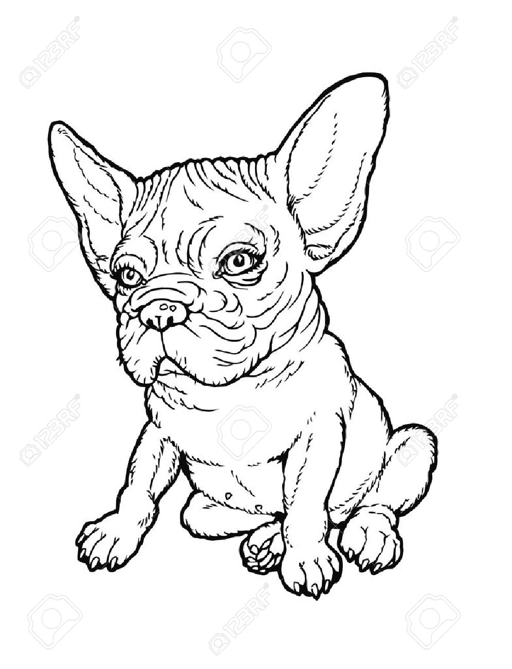 112 French Bulldog Coloring Pages Printable 92