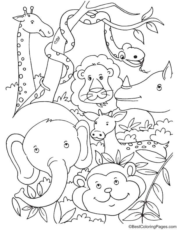 jungle coloring pages printable jpg