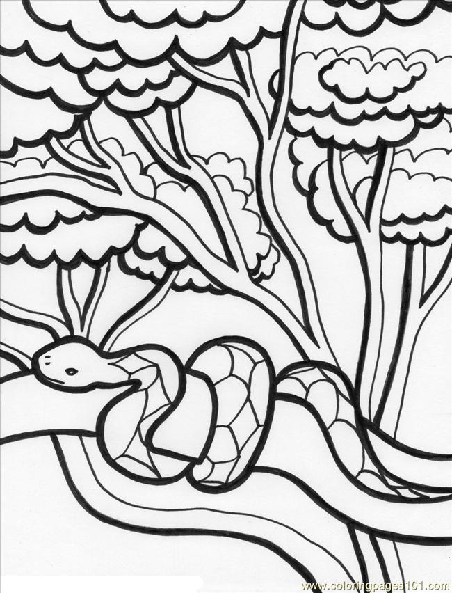 114 Jungle Coloring Pages Printable 100