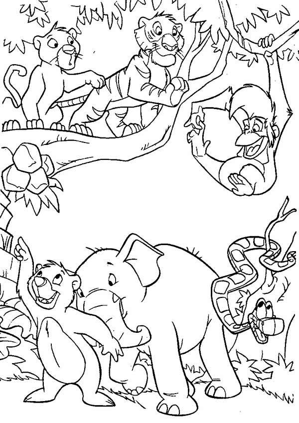 114 Jungle Coloring Pages Printable 107