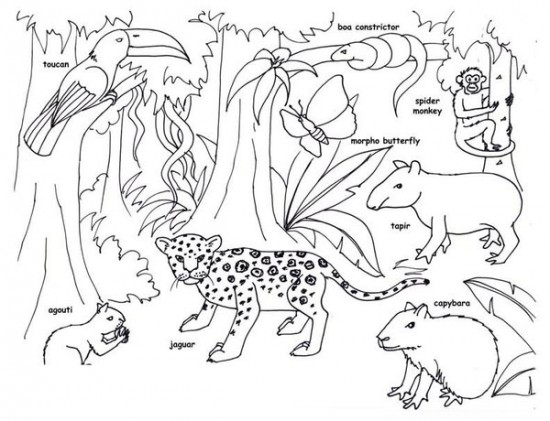 jungle coloring pages printable jpg