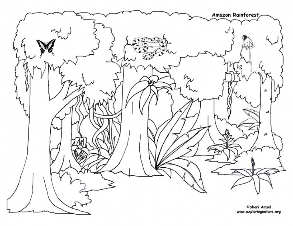 jungle coloring pages printable jpg