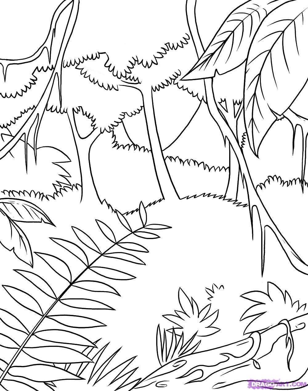 jungle coloring pages printable jpg