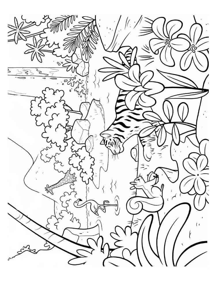 jungle coloring pages printable jpg