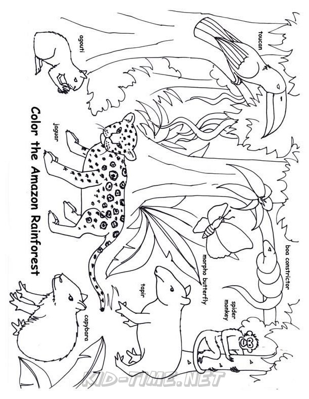 jungle coloring pages printable jpg