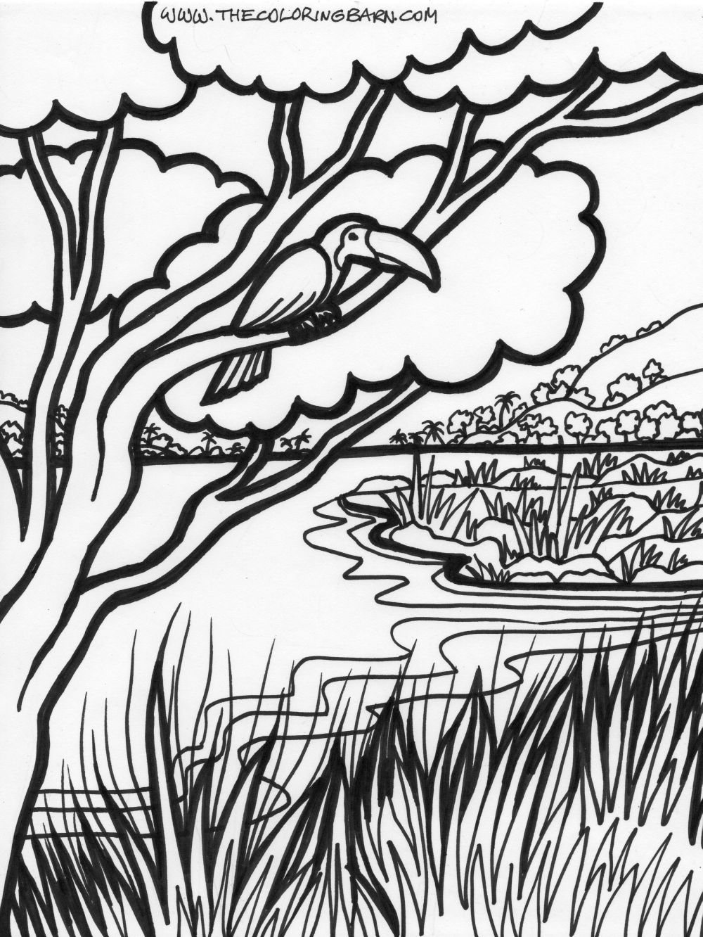 114 Jungle Coloring Pages Printable 30