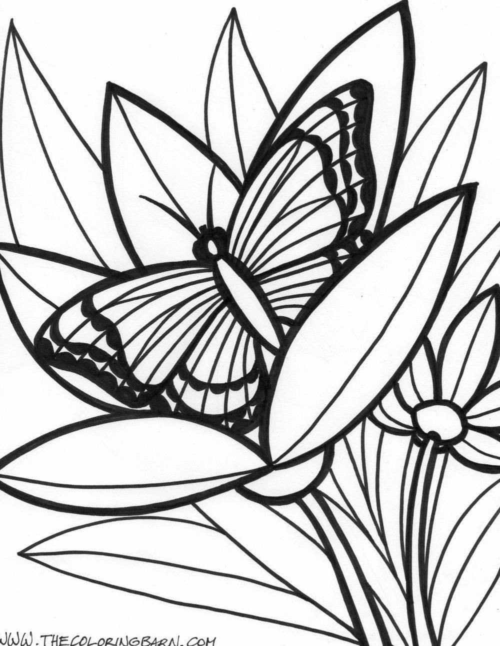 114 Jungle Coloring Pages Printable 32