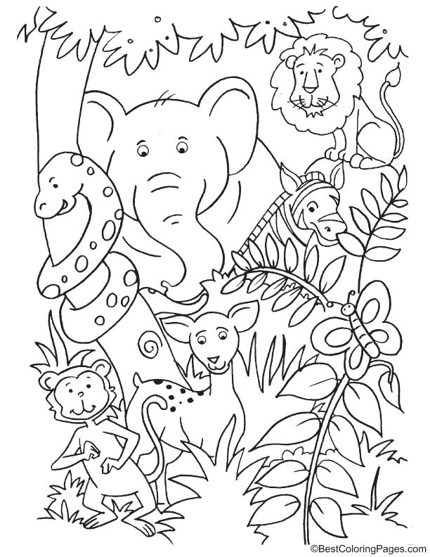 114 Jungle Coloring Pages Printable 38