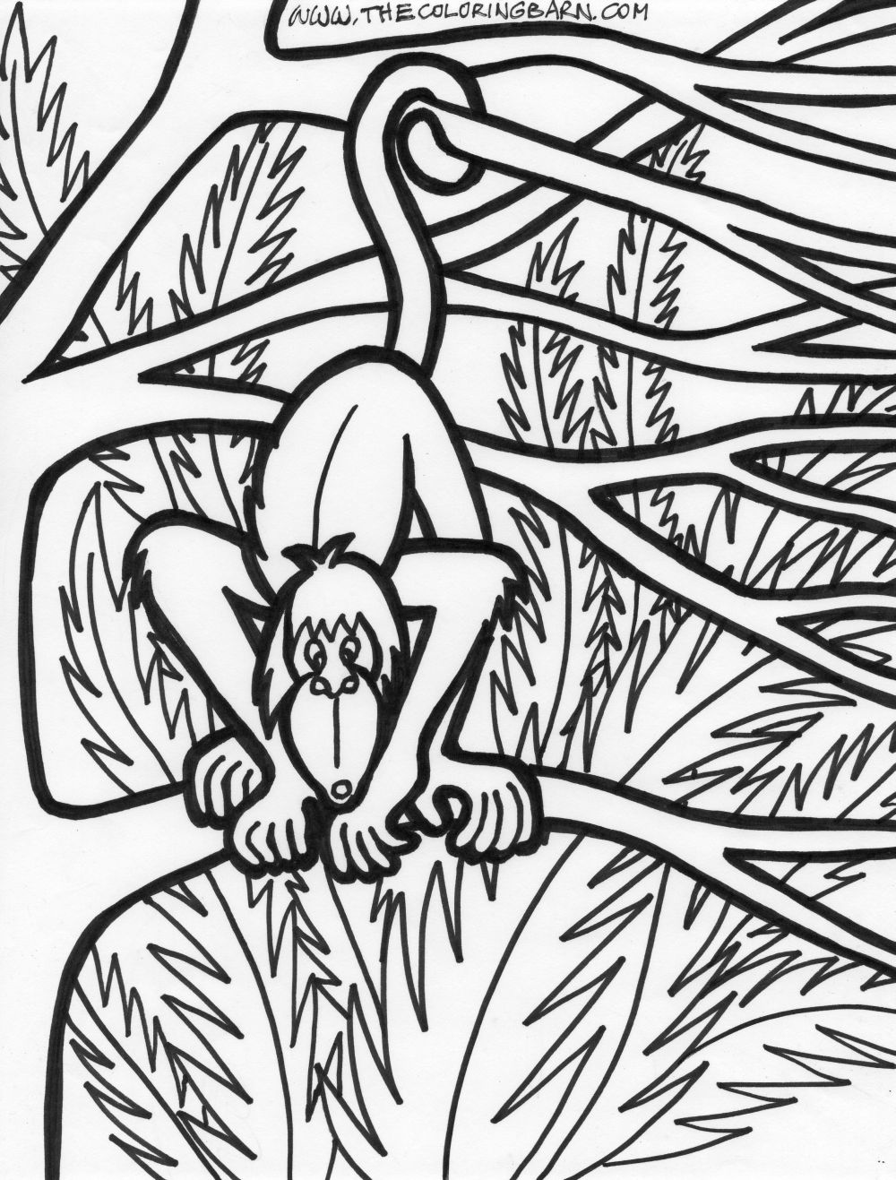 114 Jungle Coloring Pages Printable 42