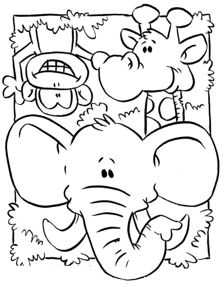 114 Jungle Coloring Pages Printable 43