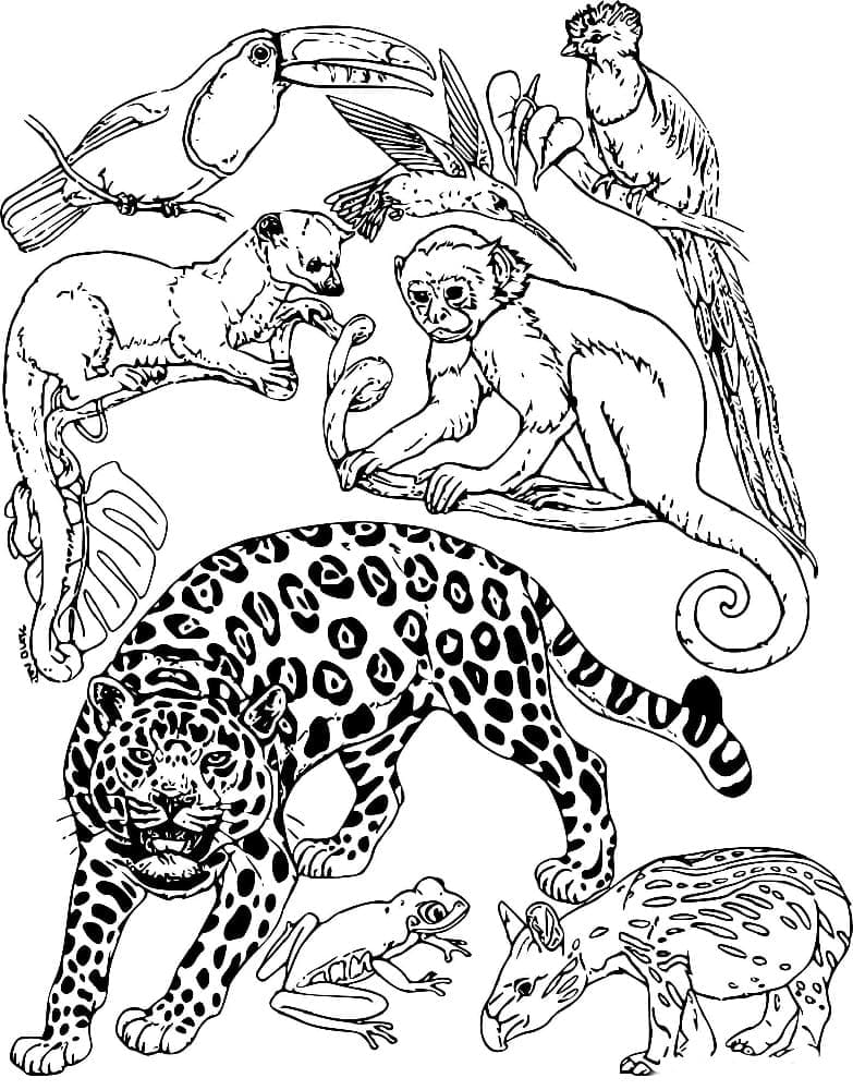 114 Jungle Coloring Pages Printable 45