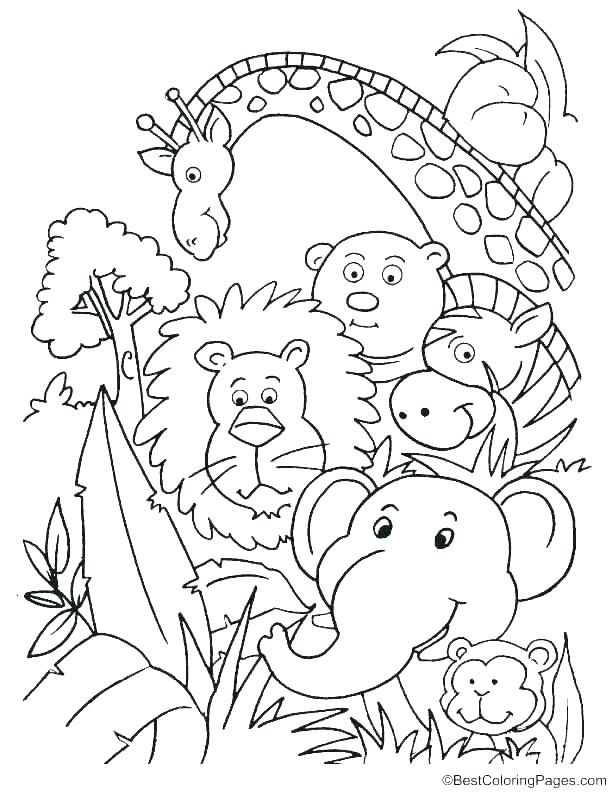 114 Jungle Coloring Pages Printable 48