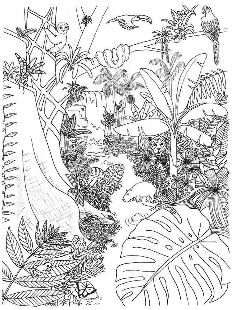 114 Jungle Coloring Pages Printable 51