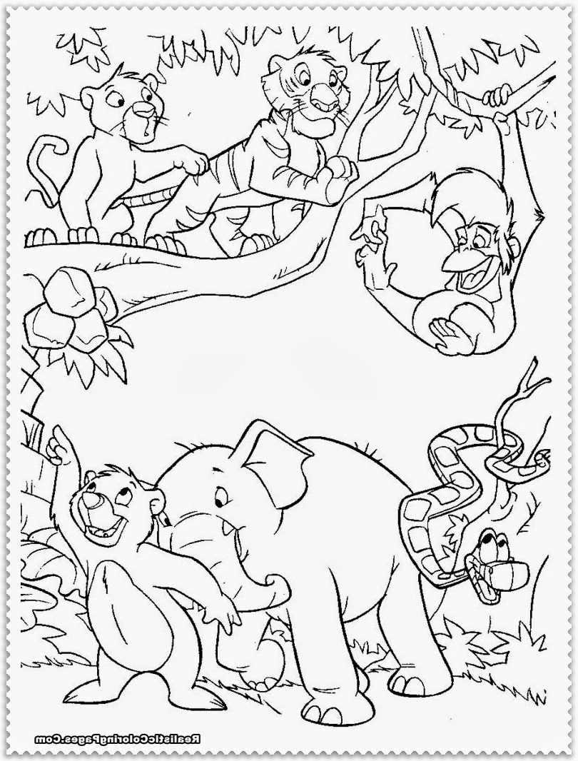 114 Jungle Coloring Pages Printable 53