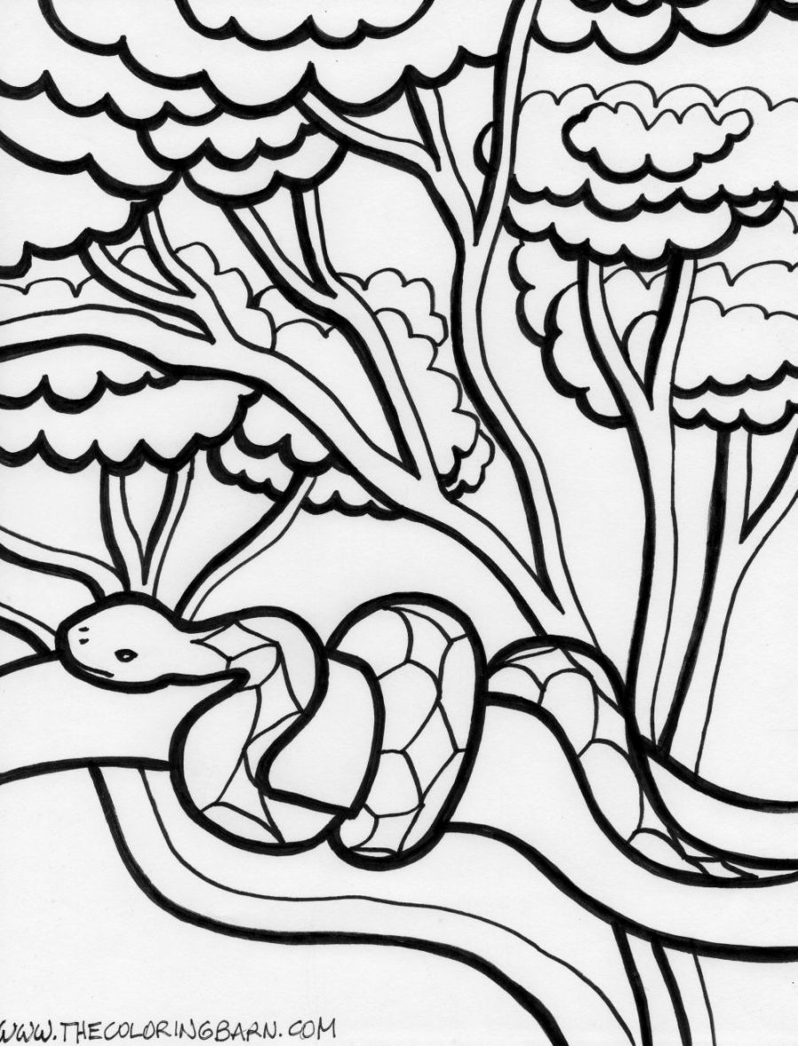 114 Jungle Coloring Pages Printable 57