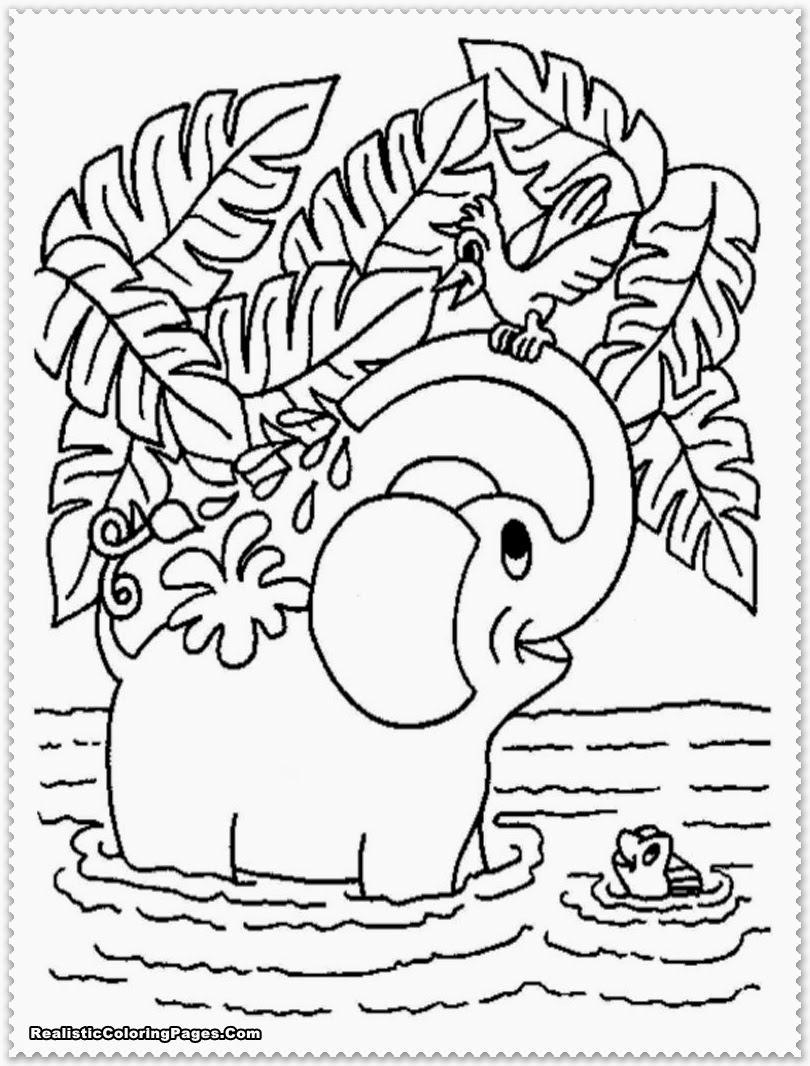 114 Jungle Coloring Pages Printable 6