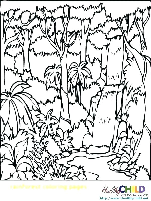 114 Jungle Coloring Pages Printable 60