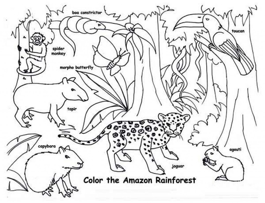 114 Jungle Coloring Pages Printable 61