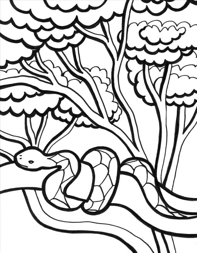 114 Jungle Coloring Pages Printable 63