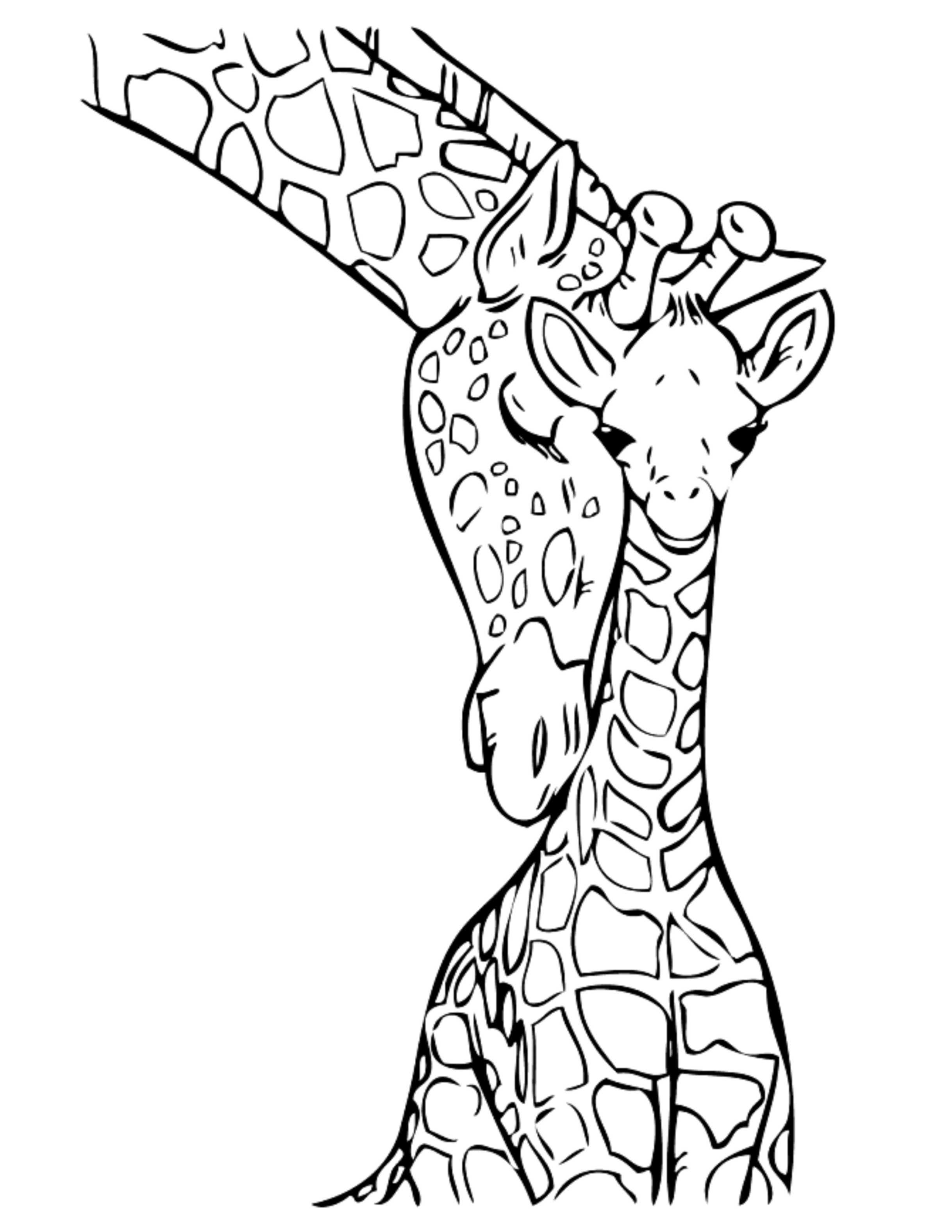 114 Jungle Coloring Pages Printable 64