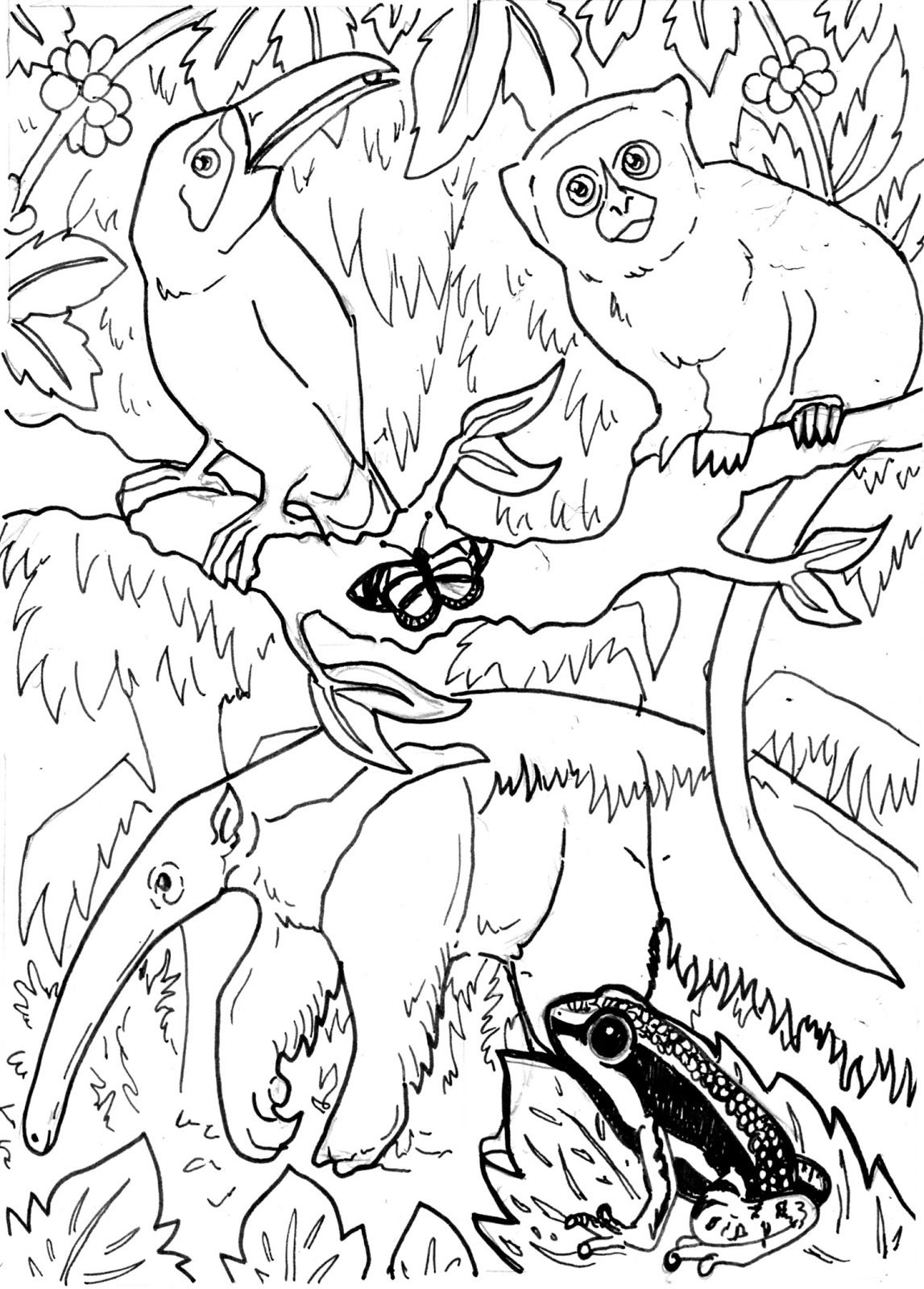 114 Jungle Coloring Pages Printable 66