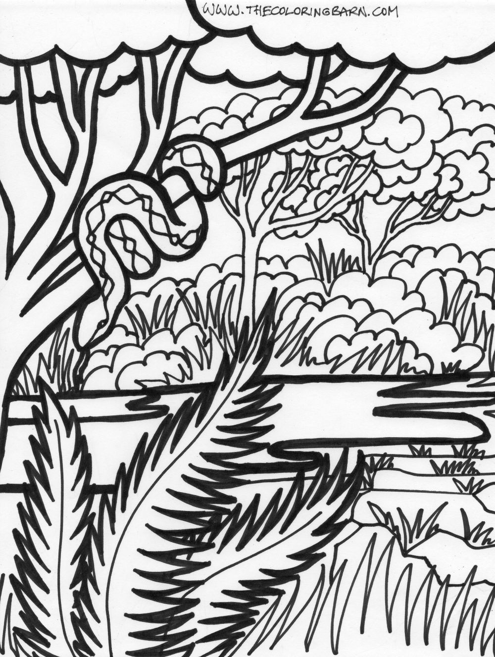 114 Jungle Coloring Pages Printable 68