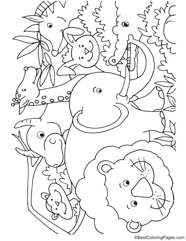 114 Jungle Coloring Pages Printable 72