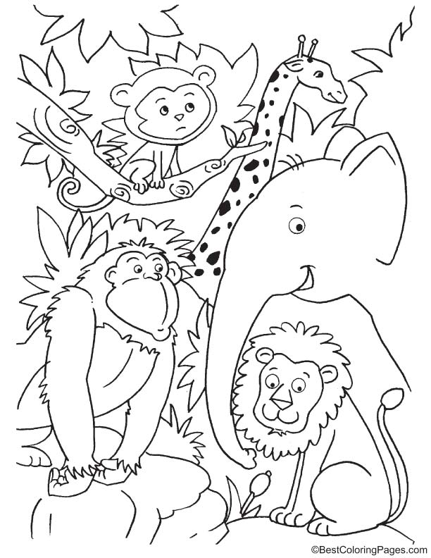 114 Jungle Coloring Pages Printable 76