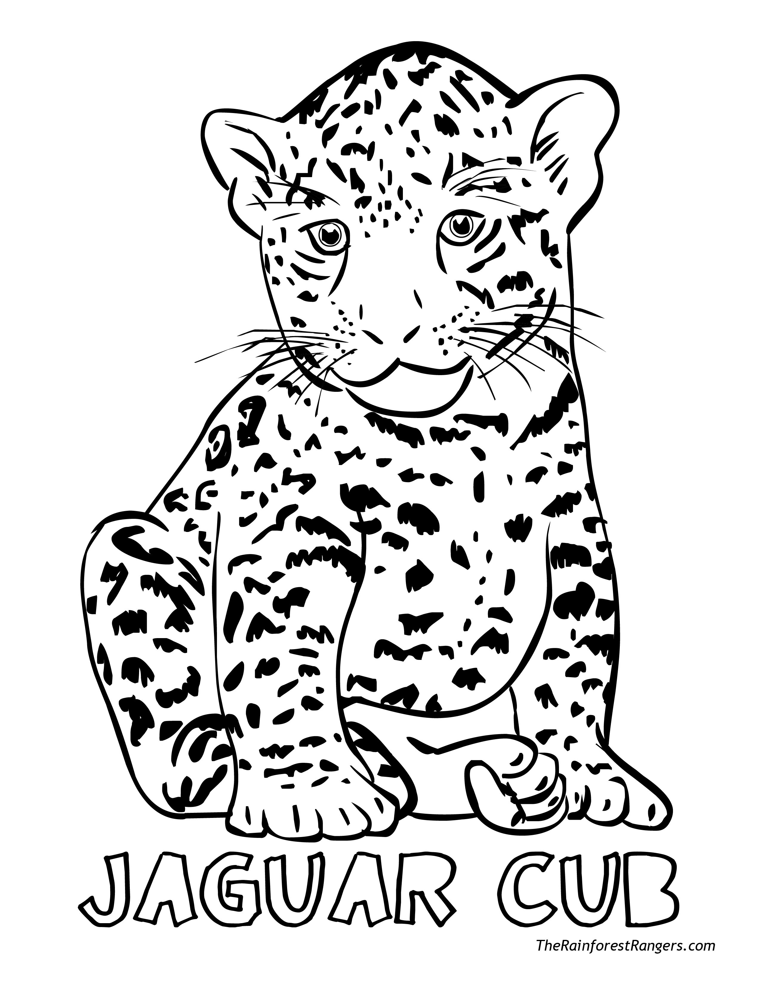 jungle coloring pages printable jpg