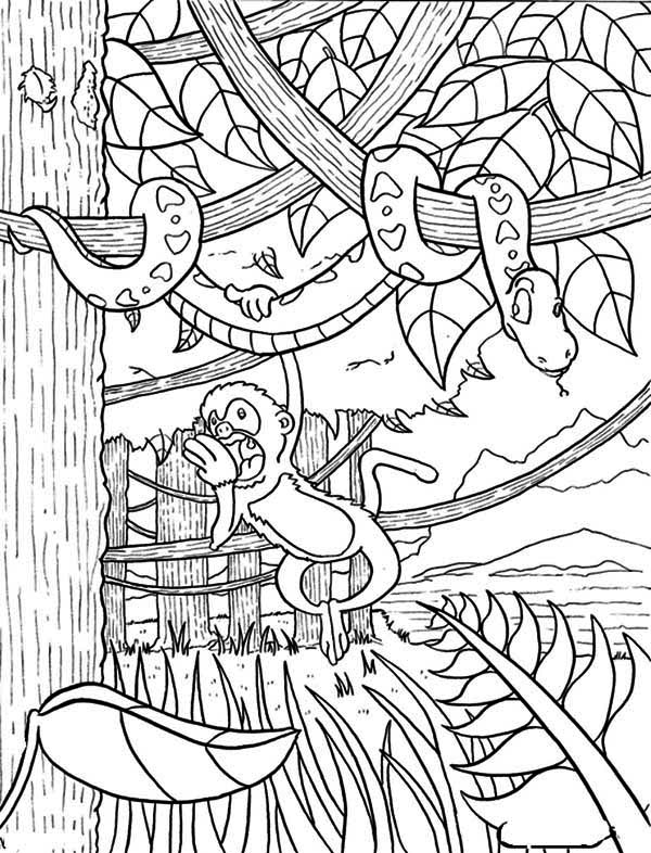 114 Jungle Coloring Pages Printable 97