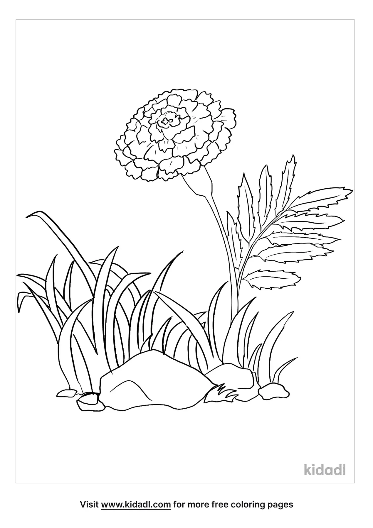 vibrant marigold coloring pages printable jpg