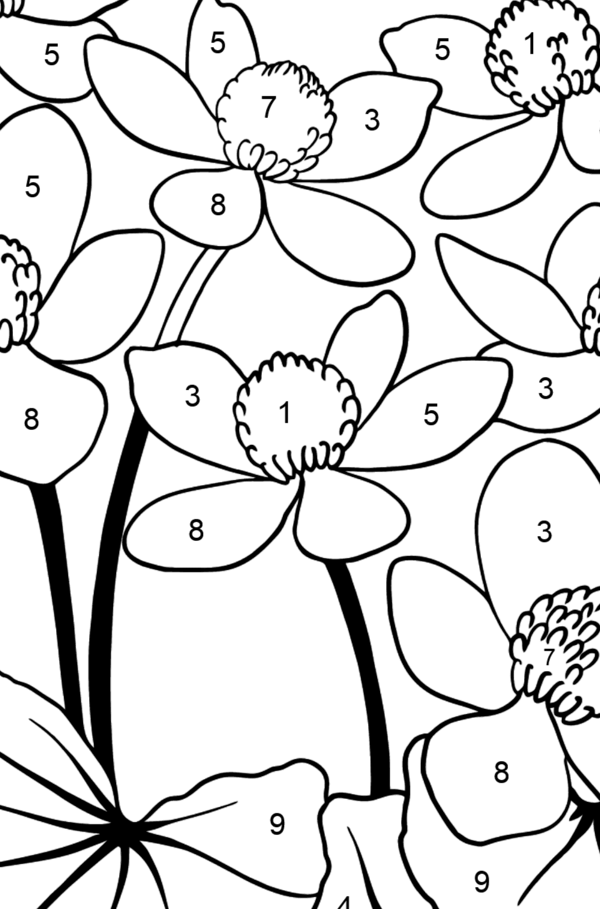 vibrant marigold coloring pages printable jpg