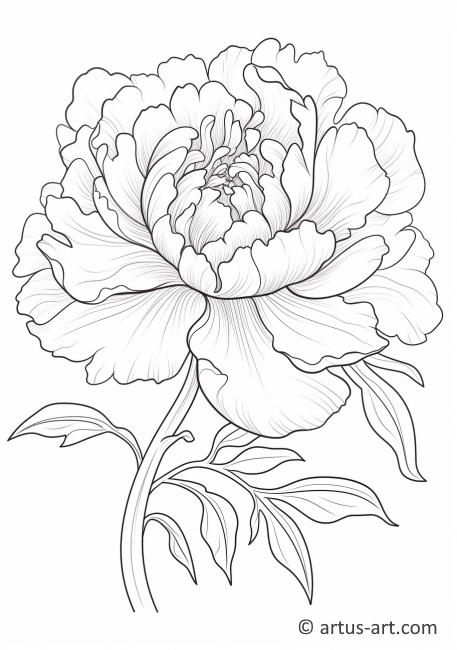 vibrant marigold coloring pages printable jpg