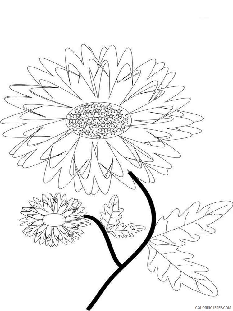 120 Vibrant Marigold Coloring Pages Printable 110